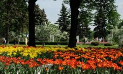 Тайницкий сад Московского Кремля (достопримечательность, объект охраны ЮНЕСКО)