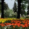 Тайницкий сад Московского Кремля (достопримечательность, объект охраны ЮНЕСКО)